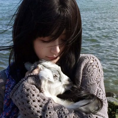 所有的猫都是灰色